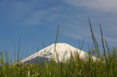 寄り道
