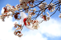 祝高校入学