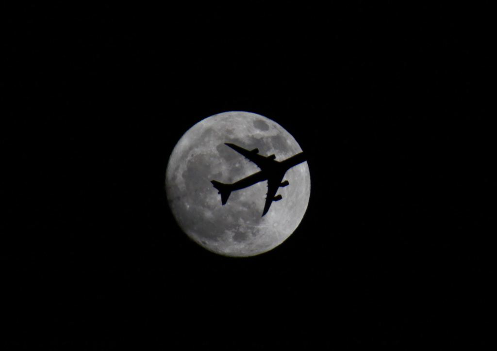 Fly to the Moon