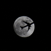 Fly to the Moon