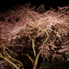 今夜と明日の雨がぁ～．．．
