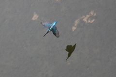 これで 繋ぎますⅡ・・・^^;