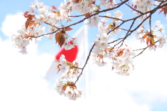 祝中学入学