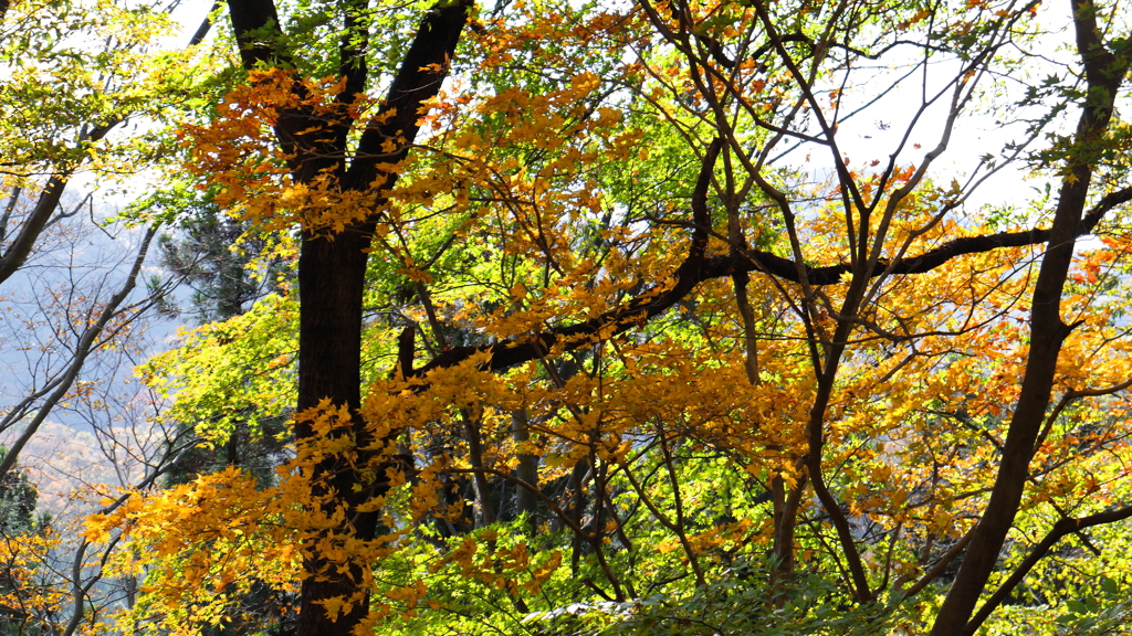 秋の始まり By Kei3248 Id 写真共有サイト Photohito