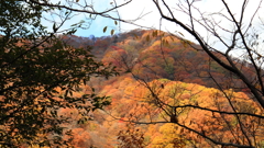 秋の碓氷峠