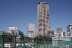 高いね