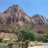 強い自然　~Zion National Park~