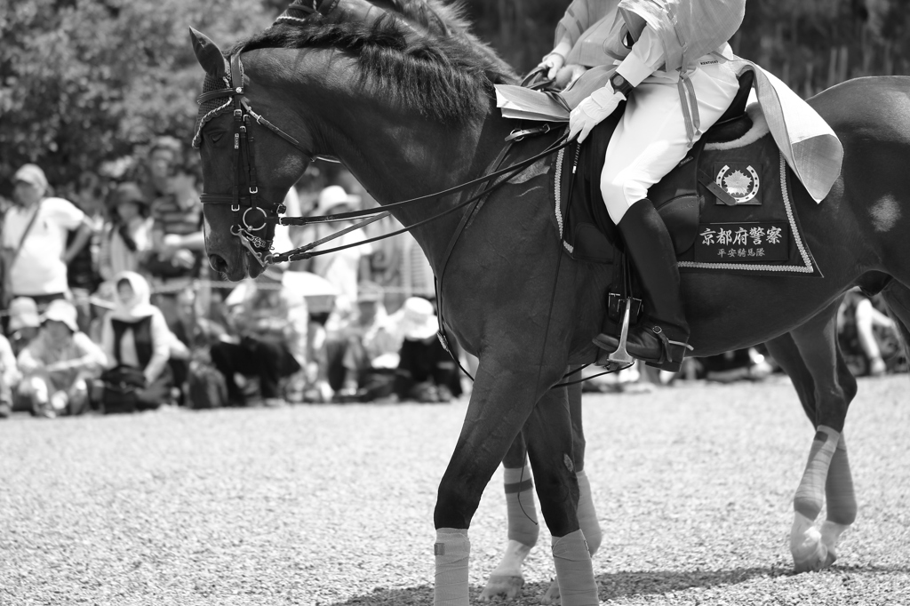 京都府警平安騎馬隊