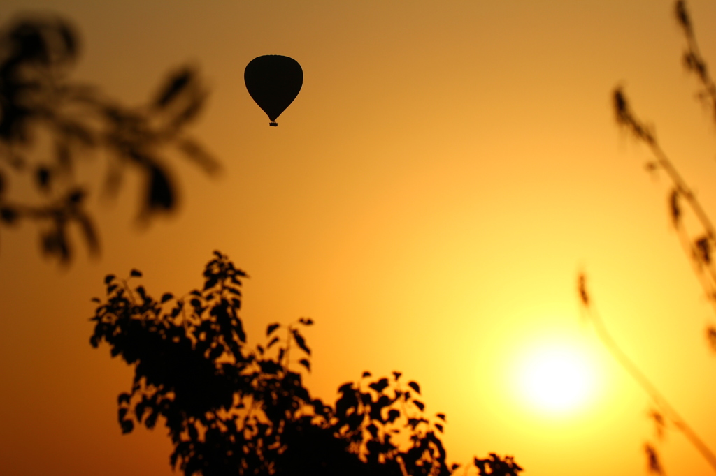 朝陽に上がる熱気球