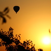 朝陽に上がる熱気球