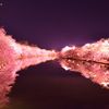 ミラーワールド