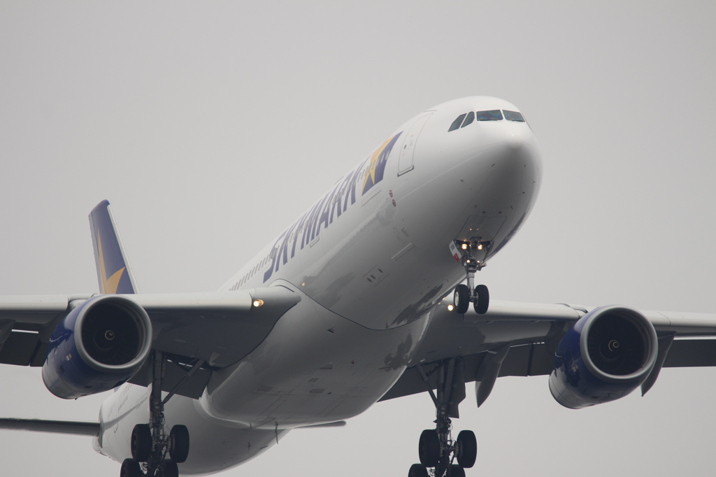 - Welcom to Haneda -
