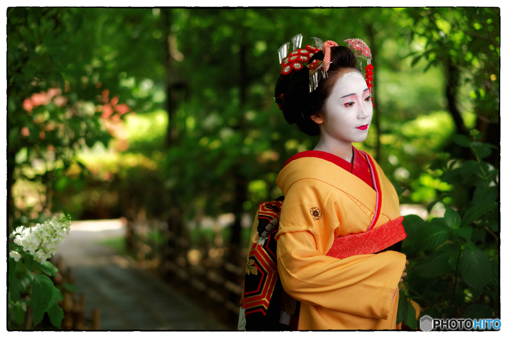 D5K_5075_DxO4