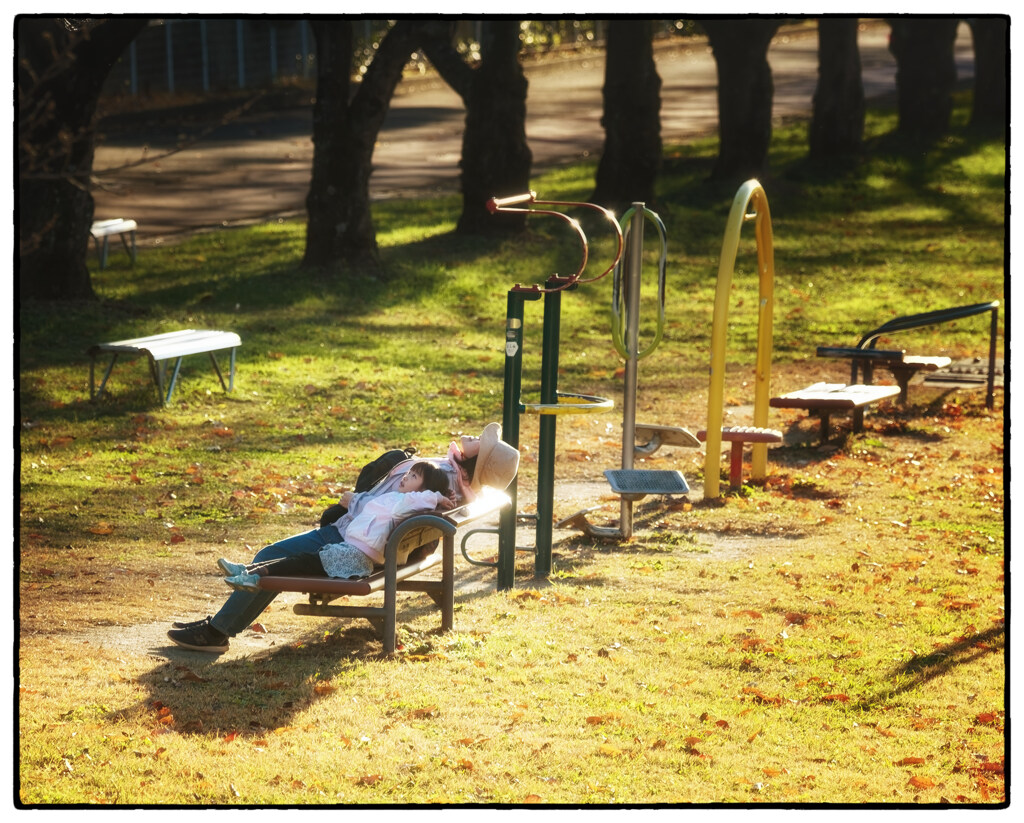 「秋のベンチ」小江戸川越散歩706