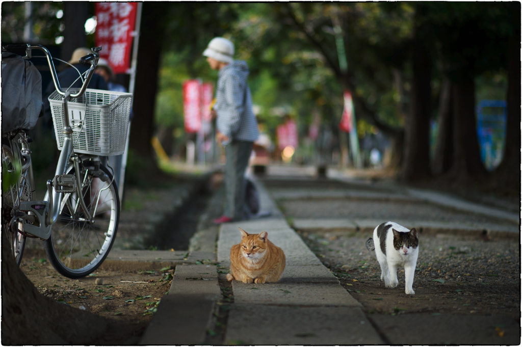 「とおりゃんせ」　小江戸川越散歩95