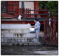 「雨あがり」小江戸川越散歩668