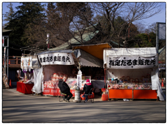 「達磨の季節も」小江戸川越散歩716