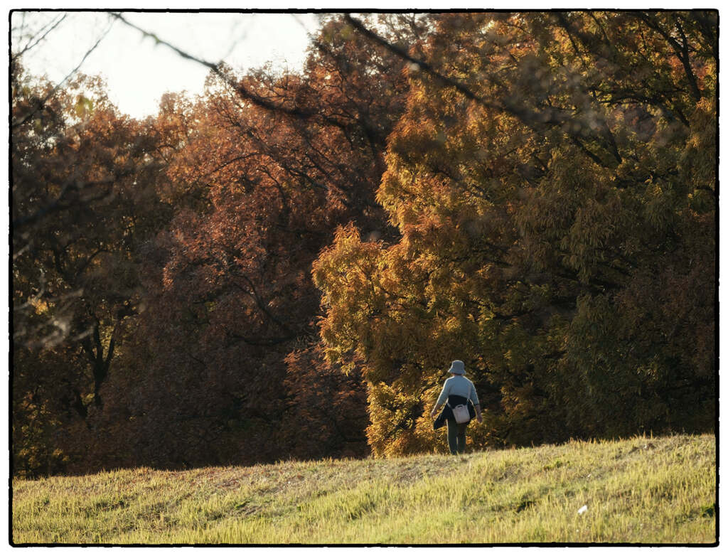 「歩く」小江戸川越散歩713