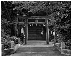 「歩く」小江戸川越散歩660