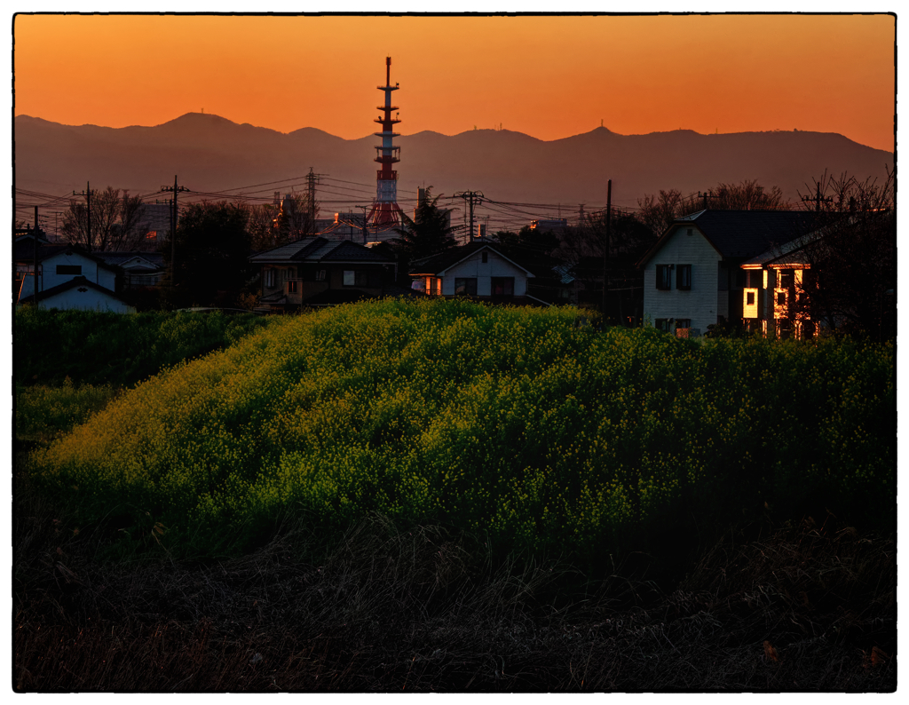 「夕暮れに」自転車に乗って14