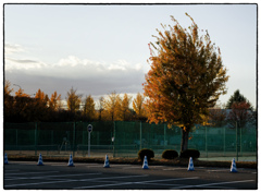 「秋景色」小江戸川越散歩711
