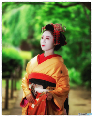 D5K_5013_DxO4
