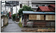 「シネレンズ」小江戸川越散歩626