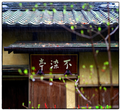 「雨の日の写真」小江戸川越散歩364