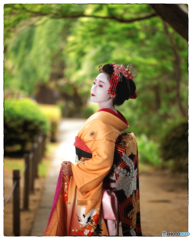 D5K_5016_DxO4