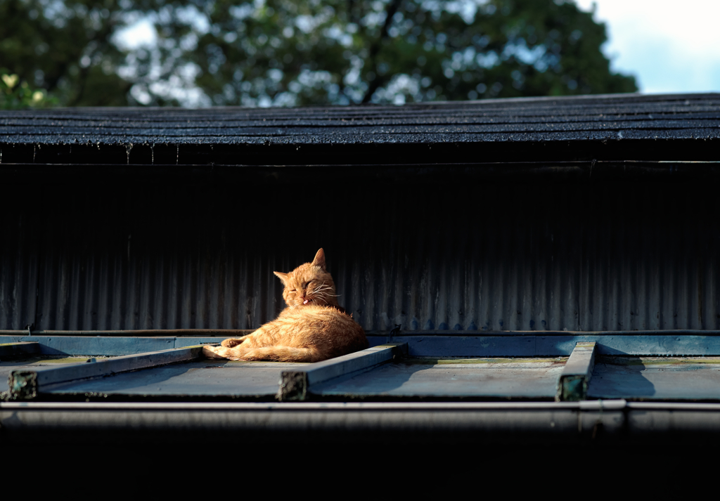 「ストレッチ」