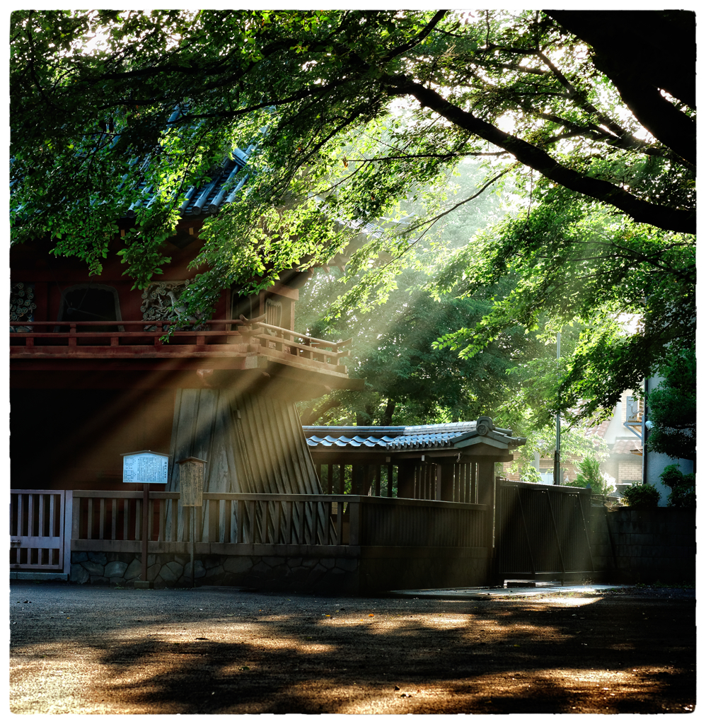 「朝の光」小江戸川越散歩01