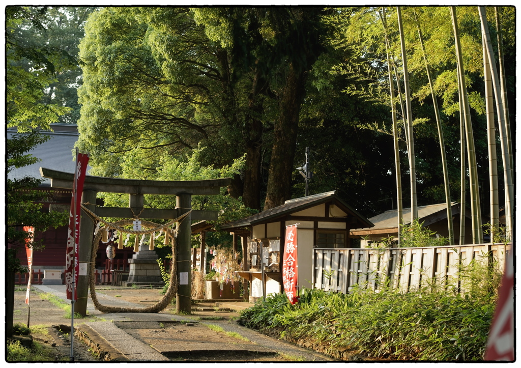「夏の風景」小江戸川越散歩641
