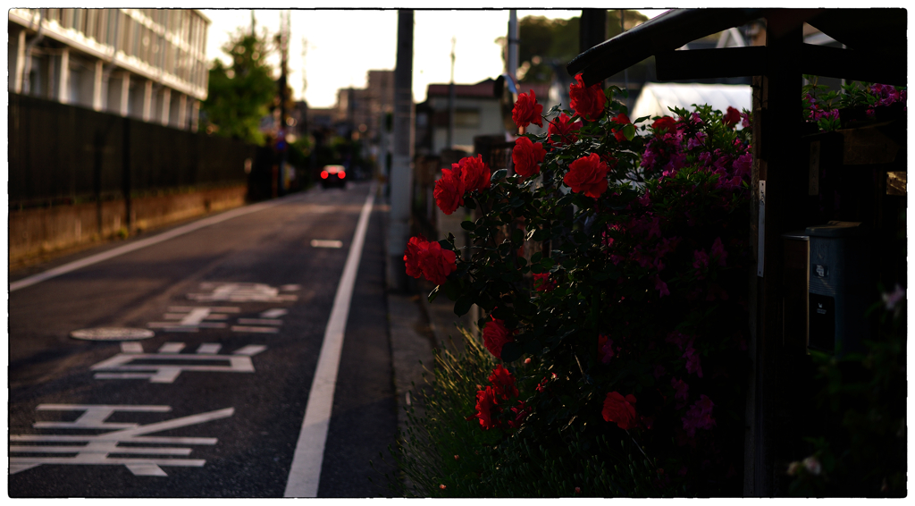 「かえり道」小江戸川越散歩131