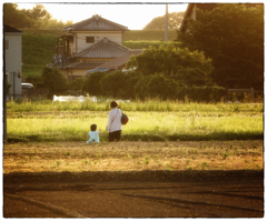「家路」趣味の畑から60