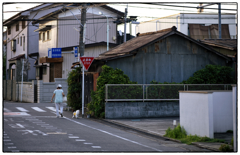 「早朝散歩」小江戸川越散歩639