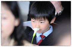 結婚式の写真　　35