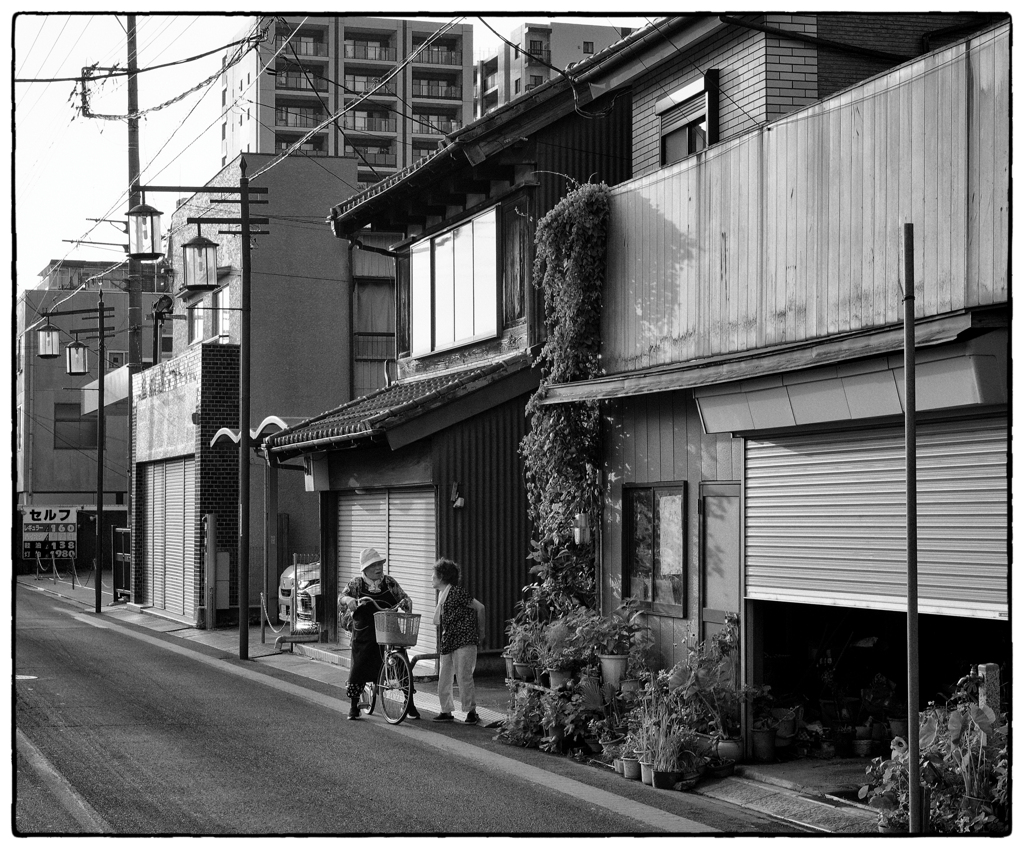 「元気な人」小江戸川越散歩662