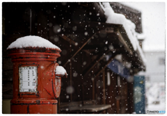 「みんな雪の中06」小江戸川越散歩144