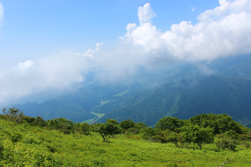 伊吹山
