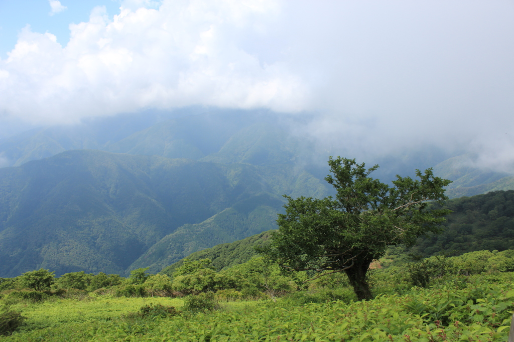 伊吹山