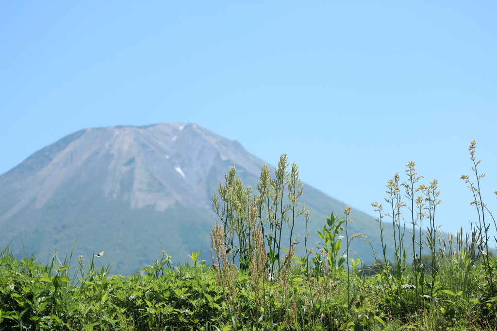 大山