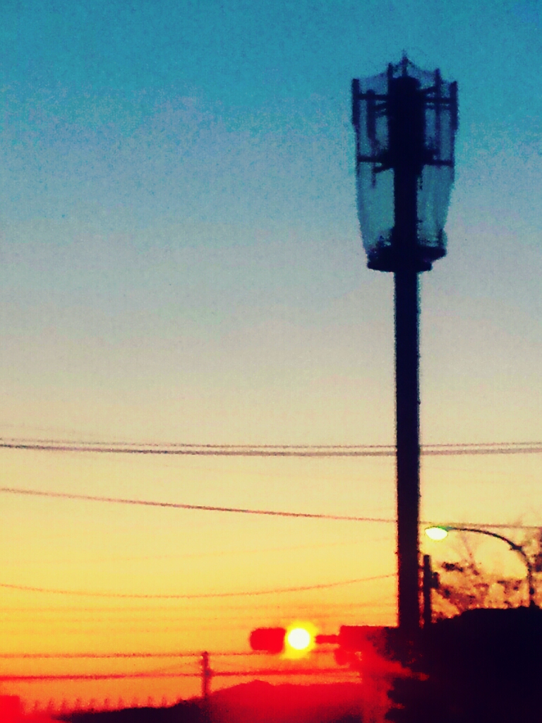 籠