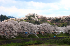 木次土手