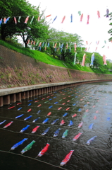 鯉流し
