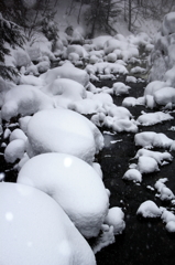 渋川渓谷の雪団子