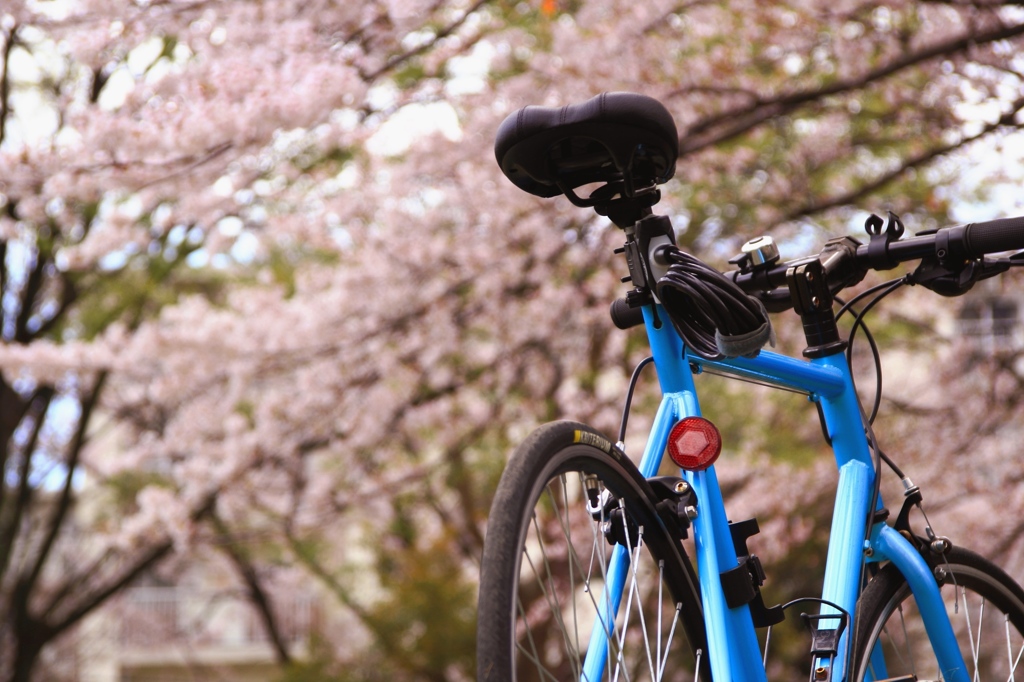 自転車日和