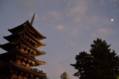 興福寺　五重塔