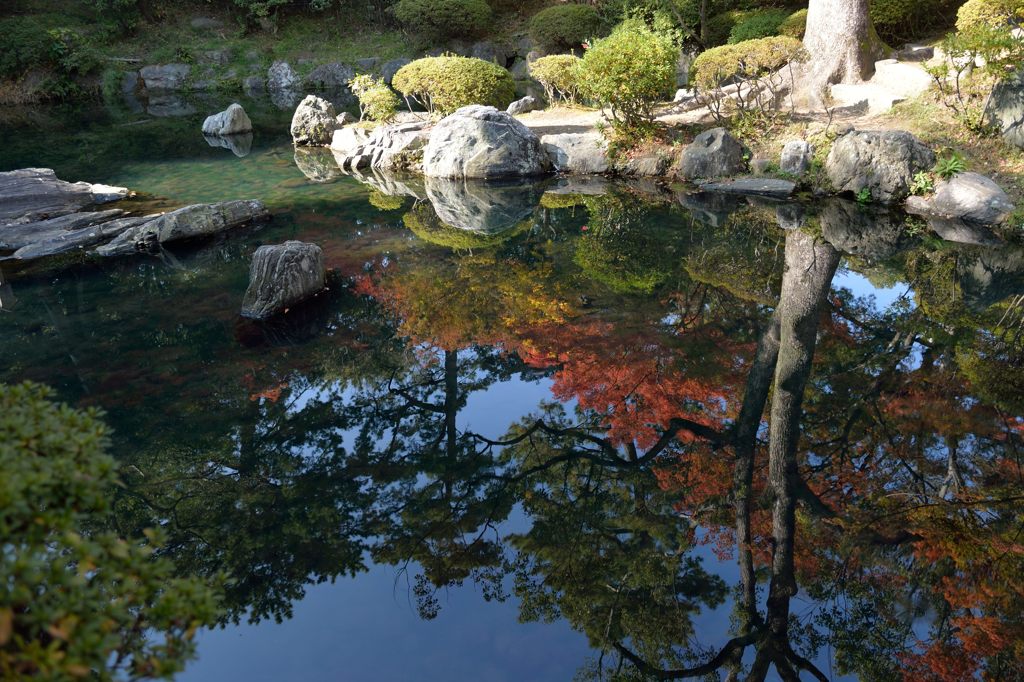 池に映る紅葉