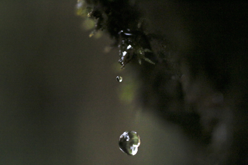 あと少し・・・