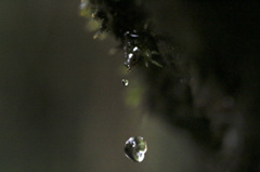 あと少し・・・